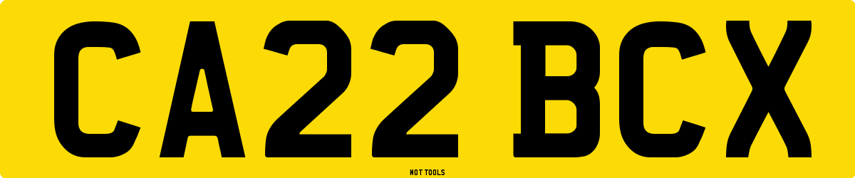 CA22BCX MOT Check