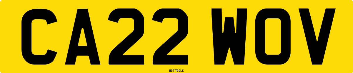 CA22WOV MOT Check