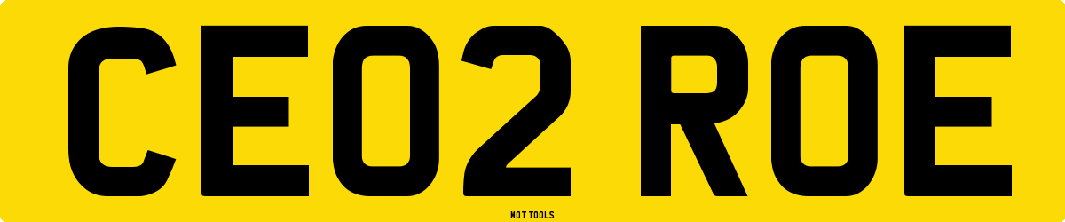 CE02ROE MOT Check