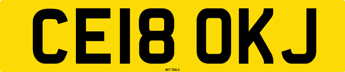CE18OKJ MOT Check