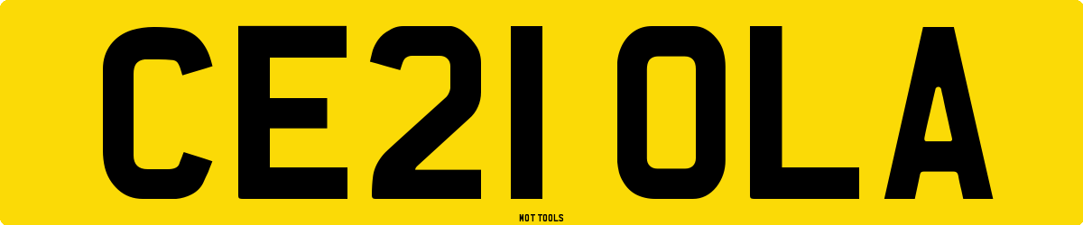 CE21OLA MOT Check