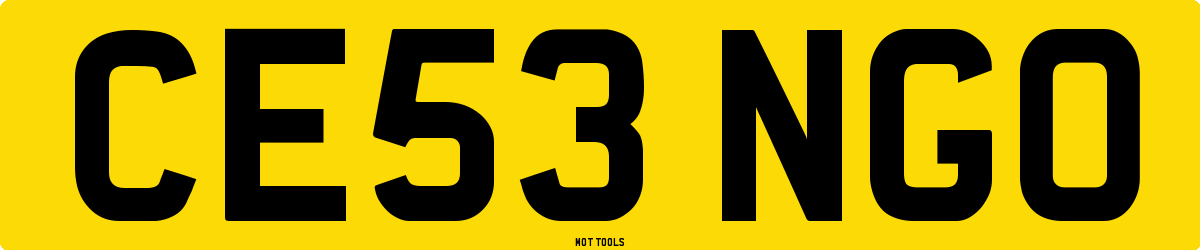 CE53NGO MOT Check