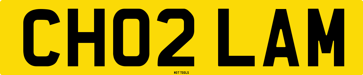 CH02LAM MOT Check