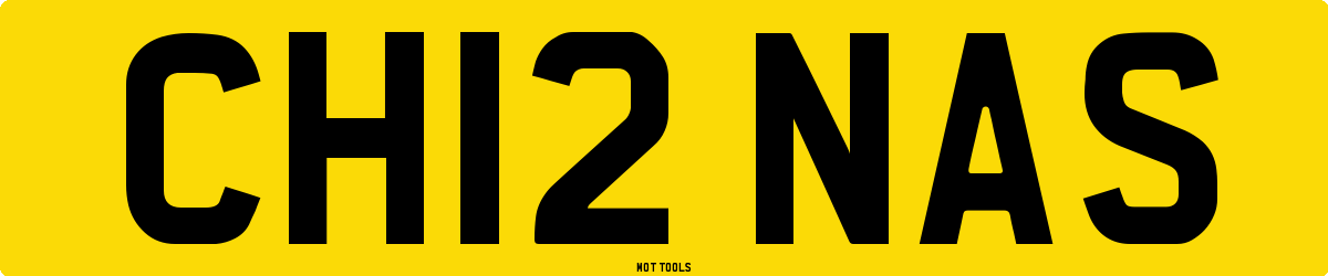 CH12NAS MOT Check