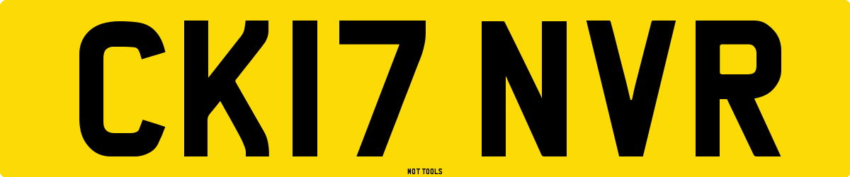 CK17NVR MOT Check