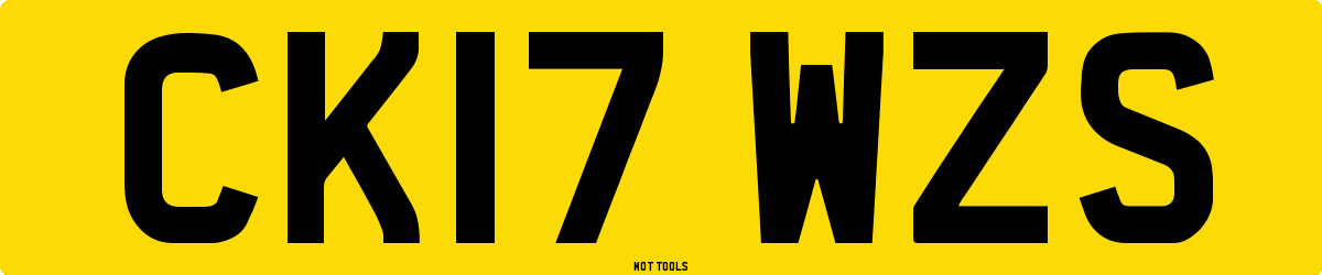 CK17WZS MOT Check