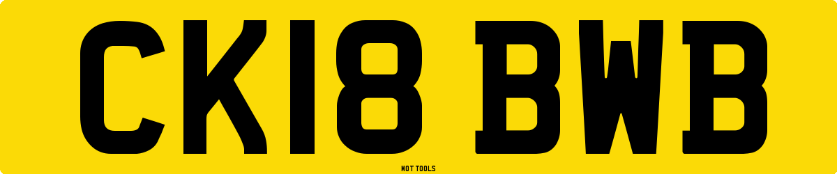 CK18BWB MOT Check