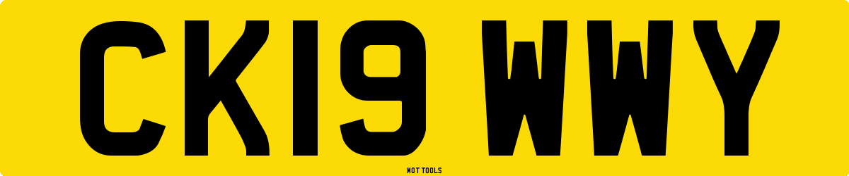 CK19WWY MOT Check