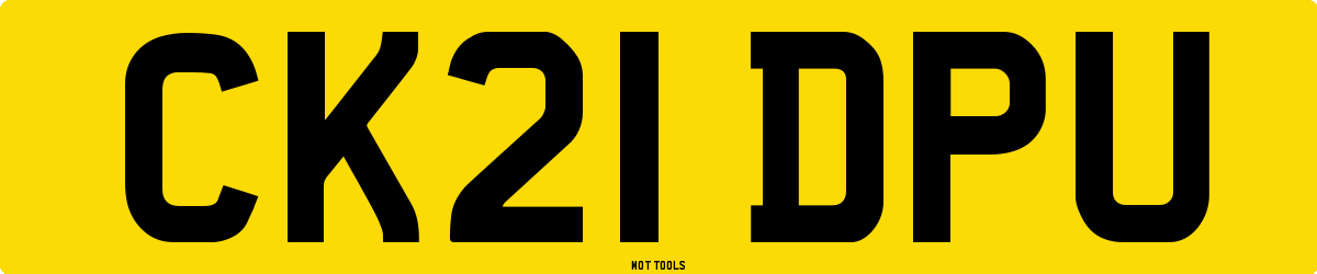 CK21DPU MOT Check