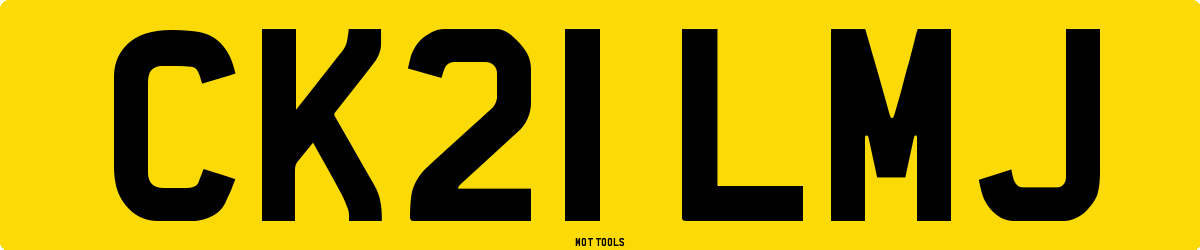 CK21LMJ MOT Check