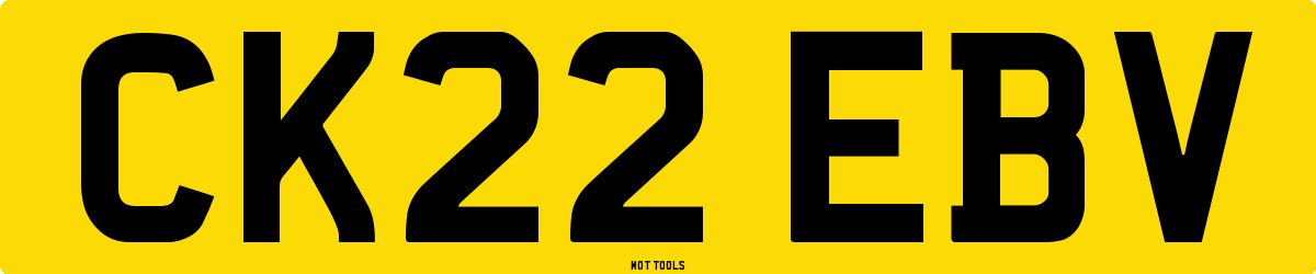 CK22EBV MOT Check
