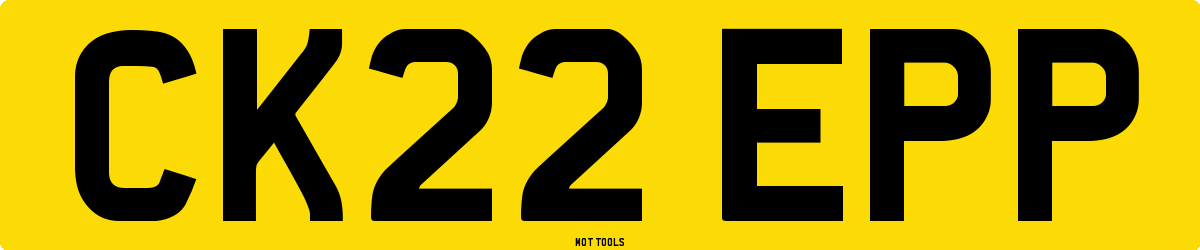 CK22EPP MOT Check