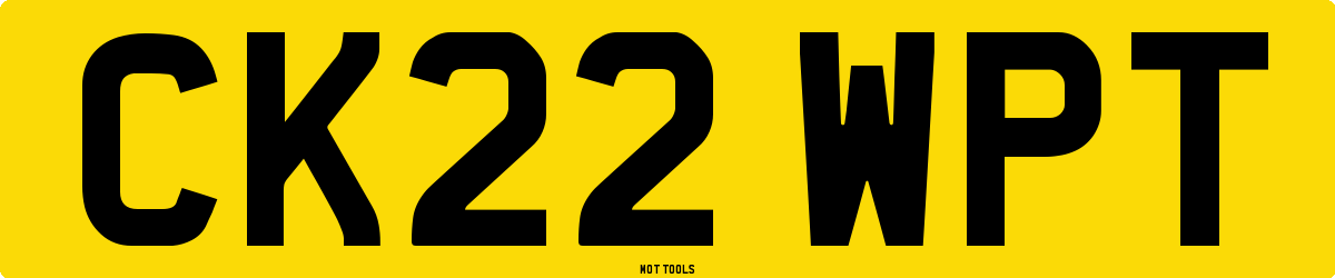 CK22WPT MOT Check