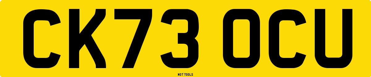 CK73OCU MOT Check