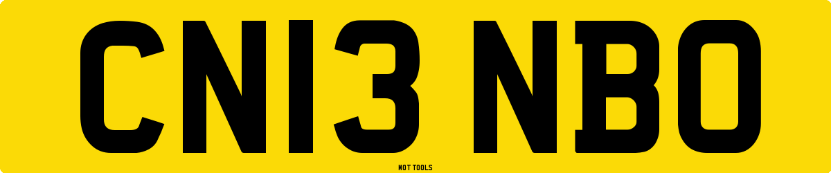 CN13NBO MOT Check