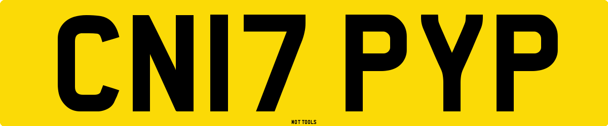 CN17PYP MOT Check