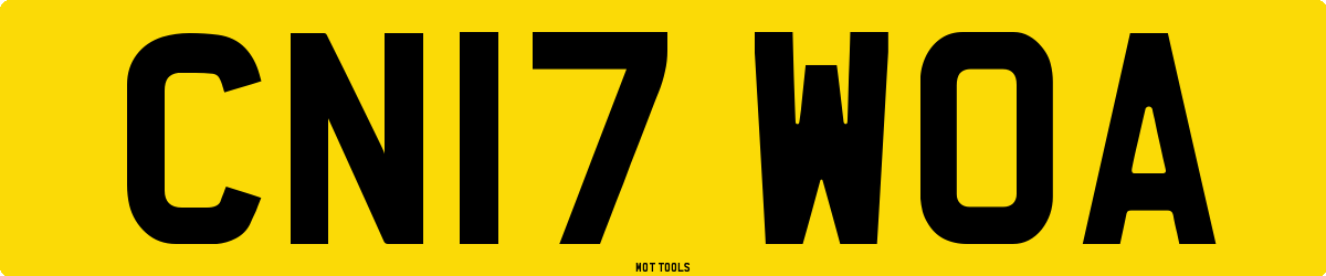 CN17WOA MOT Check