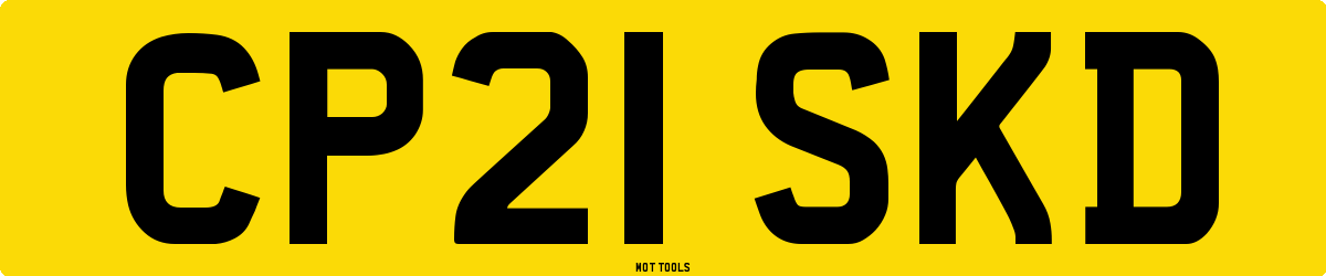 CP21SKD MOT Check