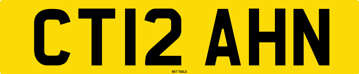 CT12AHN MOT Check