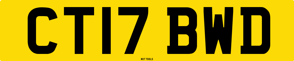 CT17BWD MOT Check