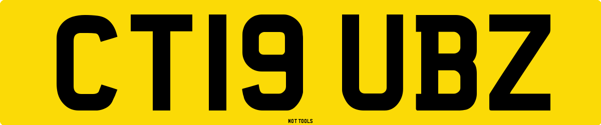 CT19UBZ MOT Check