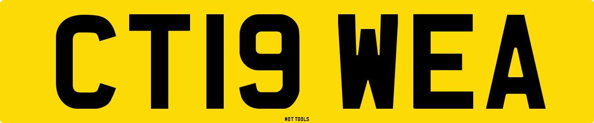 CT19WEA MOT Check