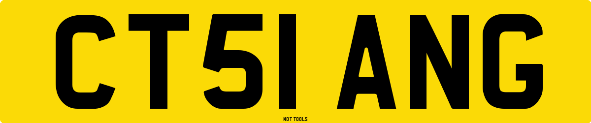 CT51ANG MOT Check
