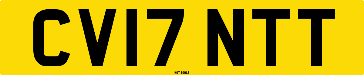 CV17NTT MOT Check