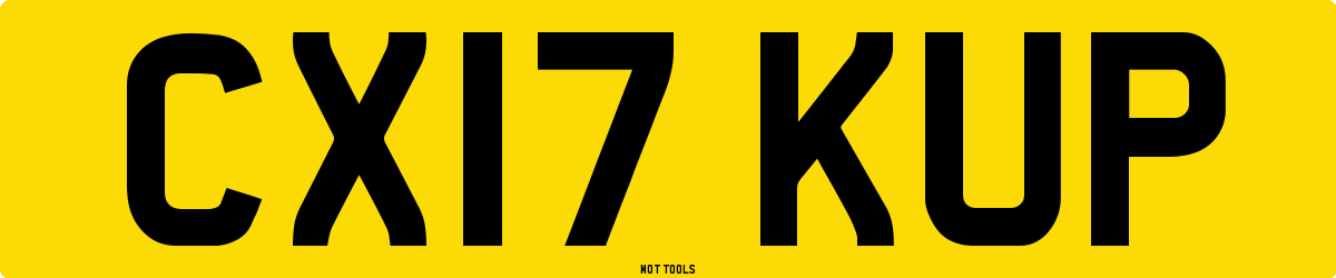 CX17KUP MOT Check