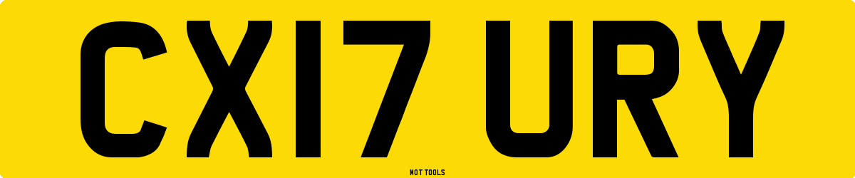 CX17URY MOT Check