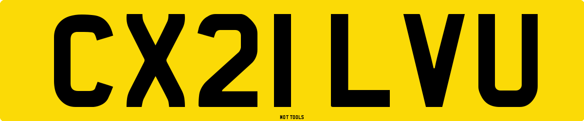 CX21LVU MOT Check