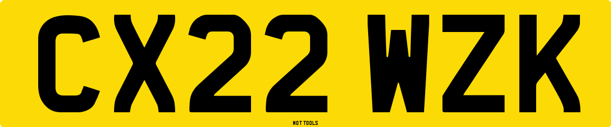 CX22WZK MOT Check