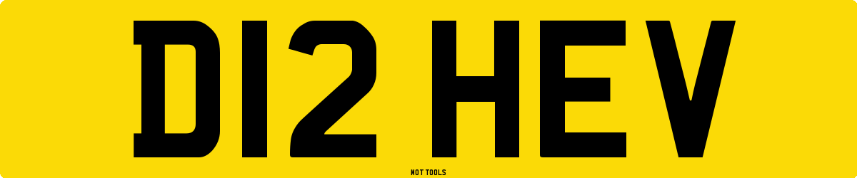 D12HEV MOT Check
