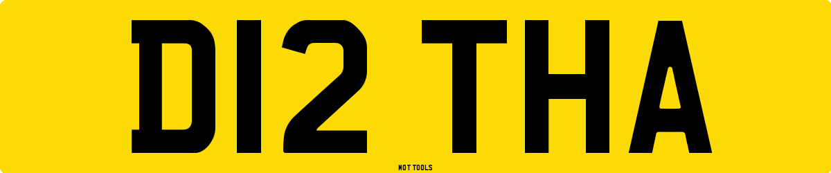 D12THA MOT Check