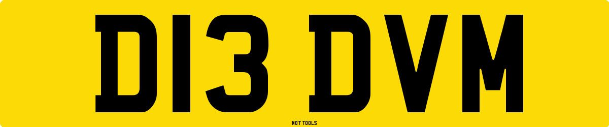 D13DVM MOT Check