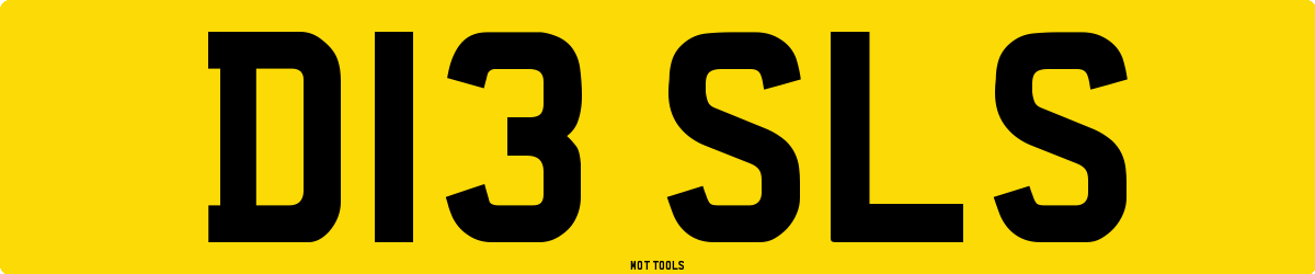 D13SLS MOT Check