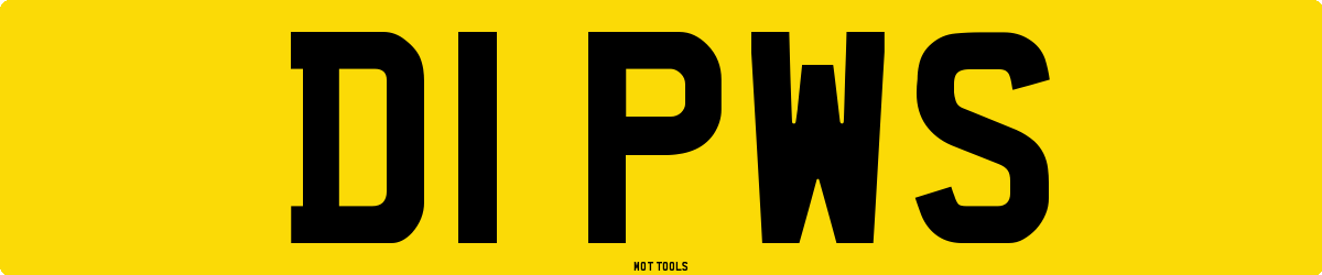 D1PWS MOT Check