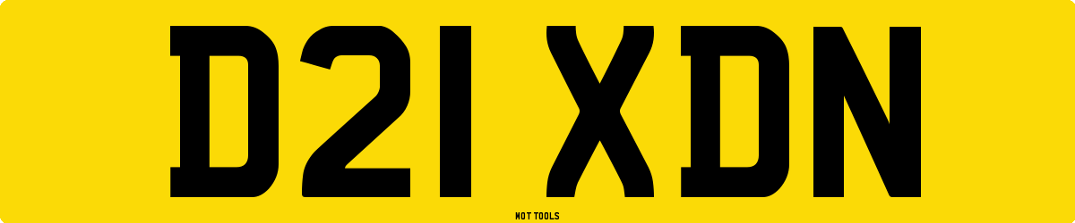 D21XDN MOT Check