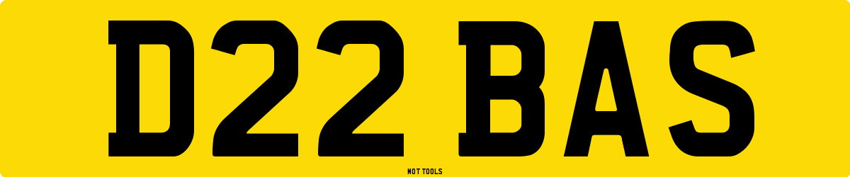 D22BAS MOT Check