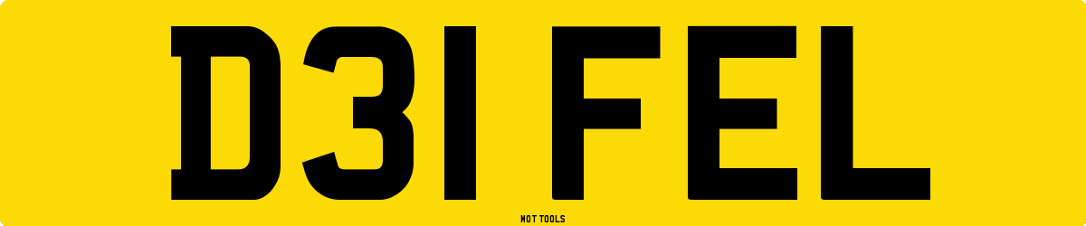D31FEL MOT Check