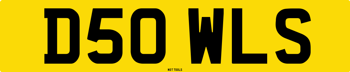 D50WLS MOT Check