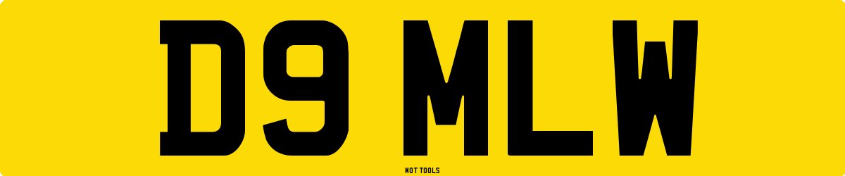 D9MLW MOT Check