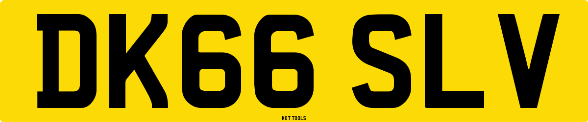 DK66SLV MOT Check