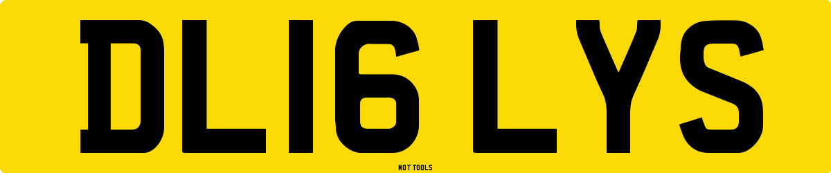 DL16LYS MOT Check