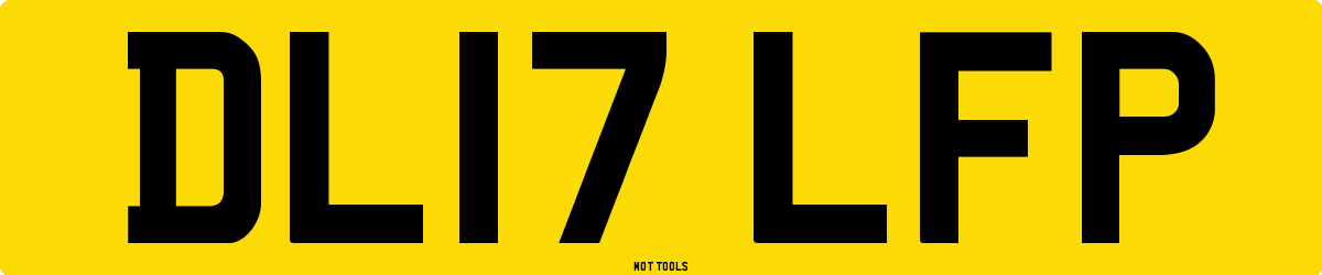 DL17LFP MOT Check