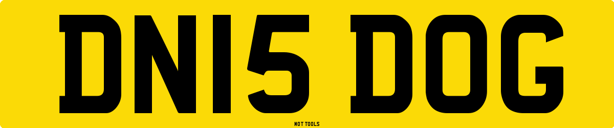DN15DOG MOT Check