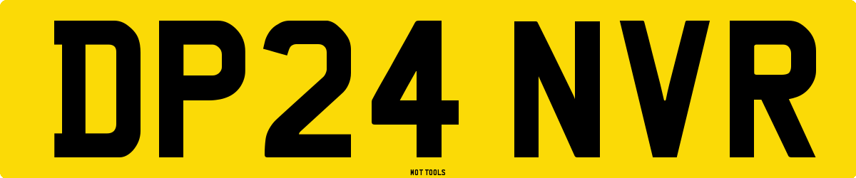 DP24NVR MOT Check