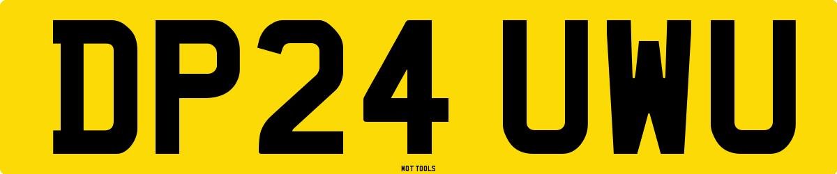 DP24UWU MOT Check