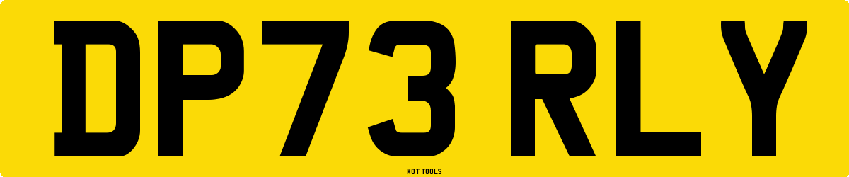 DP73RLY MOT Check