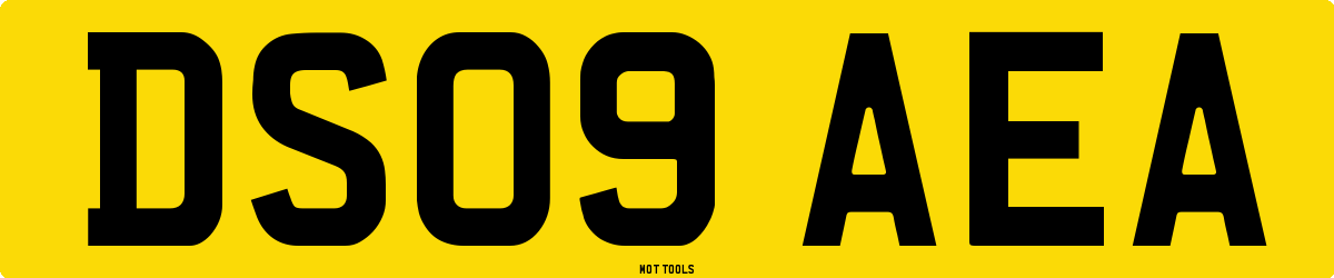 DS09AEA MOT Check